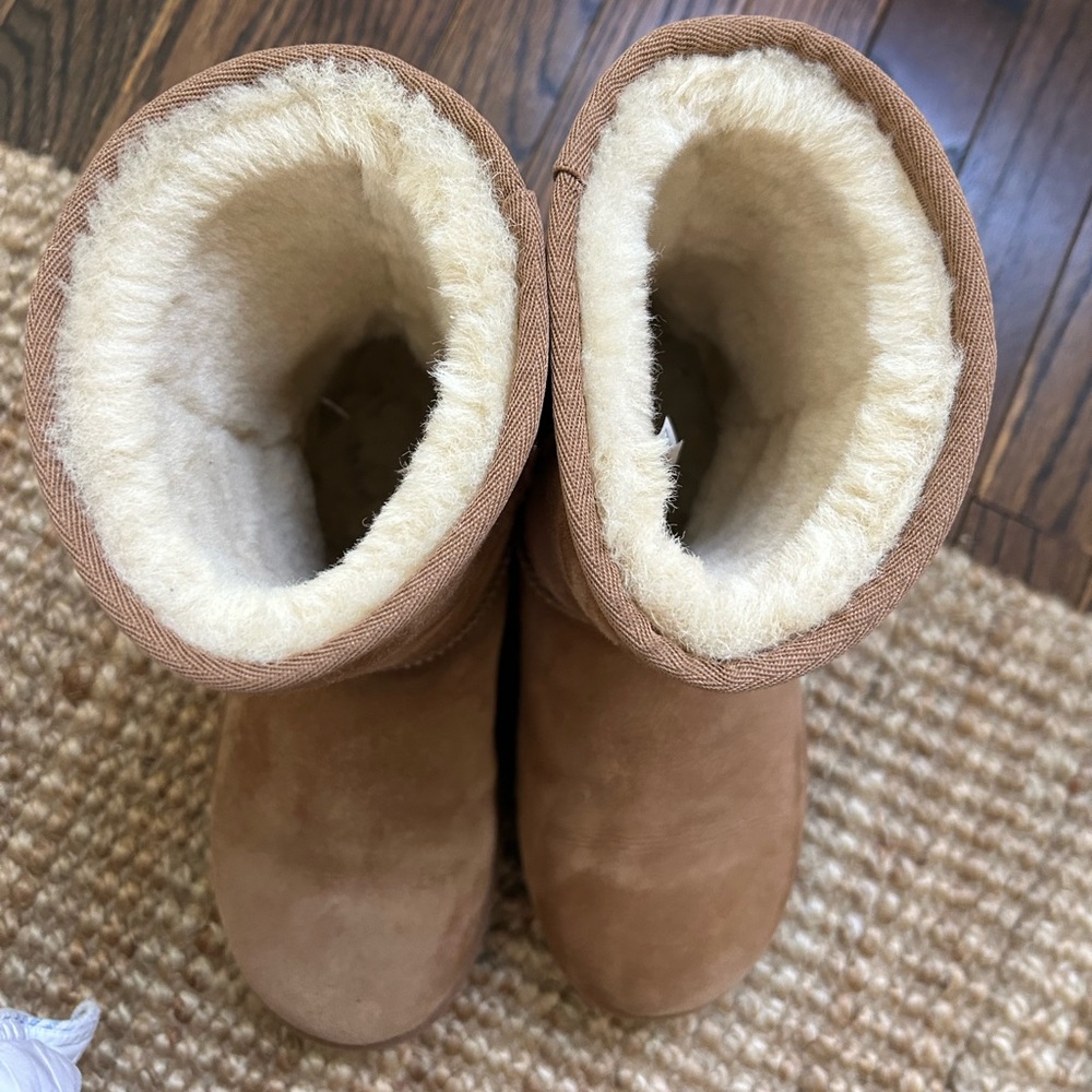 UGG Chestnut Suede Short Shearling Boots - Picture 4 of 6